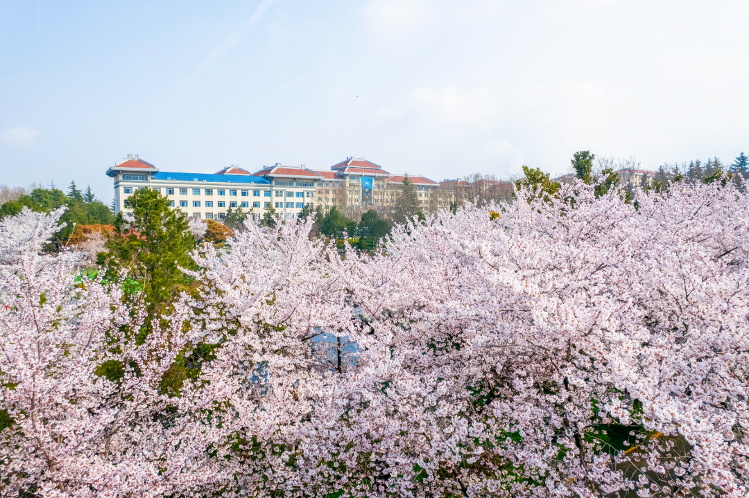 西安思源学院校园风光